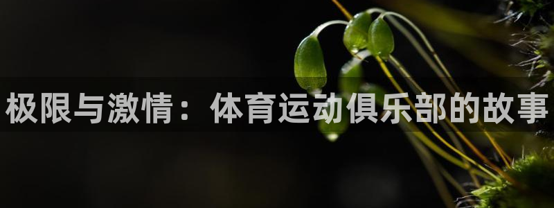 公海赌赌船官网下载招商电话地址查询:极限与激情:体育运动俱乐