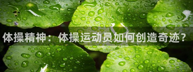 公海赌赌船官方正版app神州:体操精神:体操运动员如何创造奇