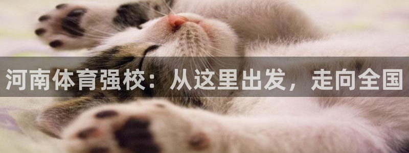 公海赌赌船官方正版app集团:河南体育强校:从这里出发,走向