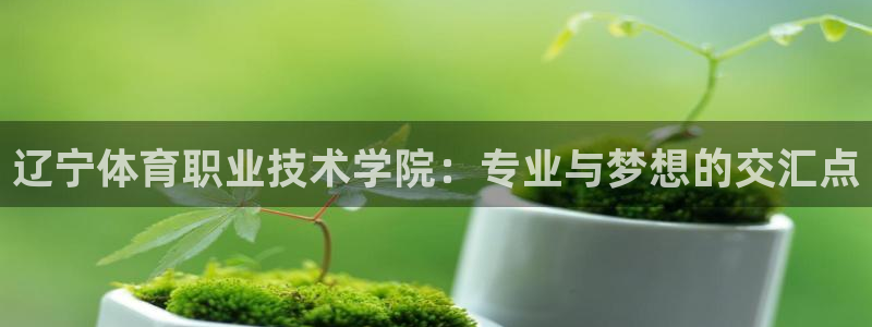 德国公海赌赌船官方正版app集团:辽宁体育职业技术学院:专业