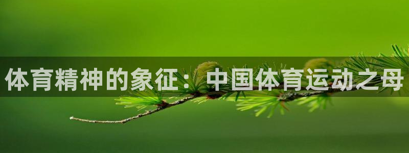 海南公海赌赌船官网下载发展怎么样:体育精神的象征:中国体育运