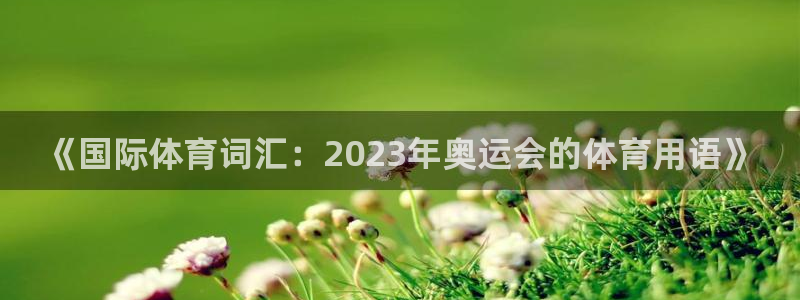 公海赌赌船官方正版app娱乐是那个系列的台子:《国际体育词汇