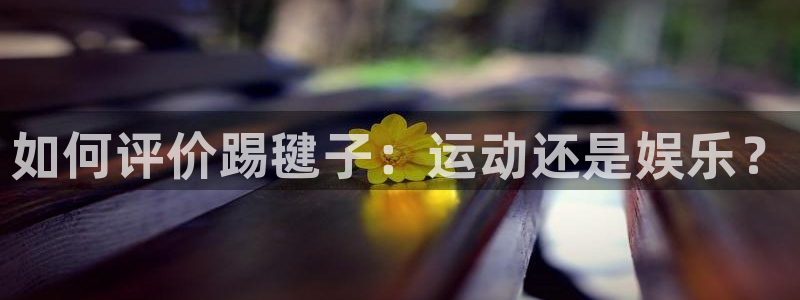 德国公海赌赌船官方正版app集团:如何评价踢毽子:运动还是娱